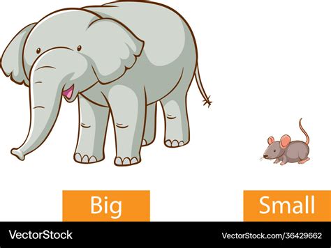 Opposite Adjectives Words With Big And Small Vector Image