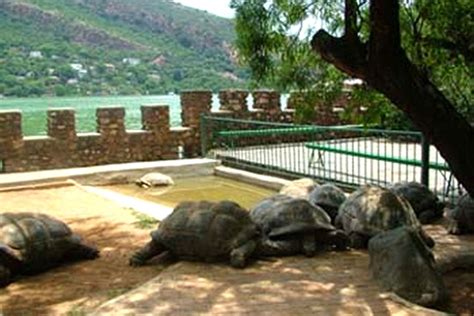 About Hartbeespoort Dam Snake And Animal Park In Schoemansville