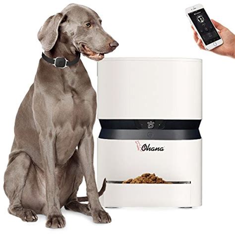 8l Smartfeederohana Automatic Food Dispenser For Cats And Dogslarge