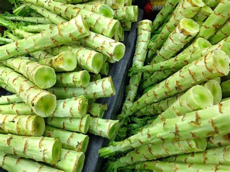 When you are in the mood for asian dishes, go to cj palace in sparks, nv. Food Sparks: Vegetables