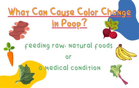 Become a Poop Inspector-monitoring your dog's health by examining his poop!