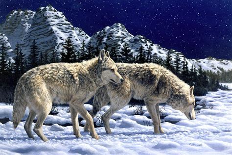 Wolves Unfamiliar Territory Painting By Crista Forest Fine Art America