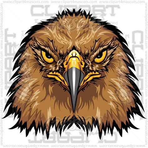 Falcon Head Image Vector Or  Formats