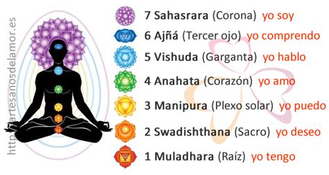 Meditación Guiada para la alineación de los 7 chakras Mi Luna Yoni
