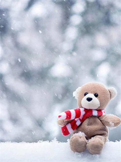 Free Download Winter Pic Wallpaper High Definition High Quality