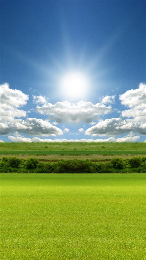 Sunlight Nature Green Field Sky Iphone 8 Wallpapers Free Download