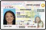 Pictures of Cdl License Ga Cost