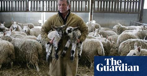 A Working Life The Shepherd Money The Guardian