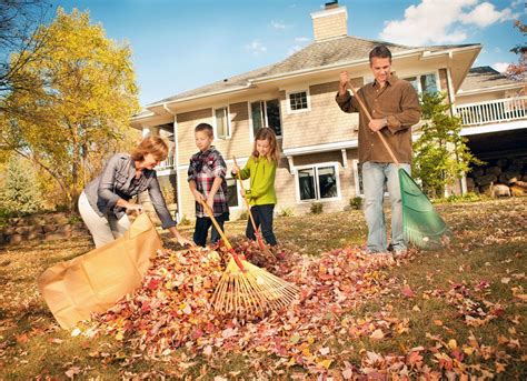 10 Leaf Raking Lessons No One Ever Taught You Leaf Photography
