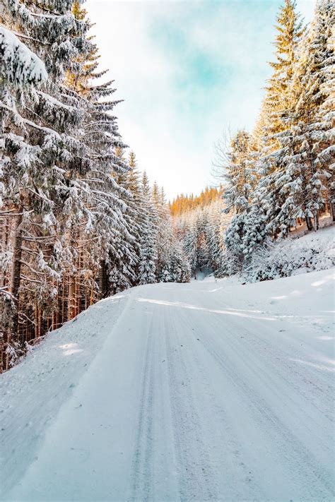 Snow Covered Forest Road Wallpapers Wallpaper Cave