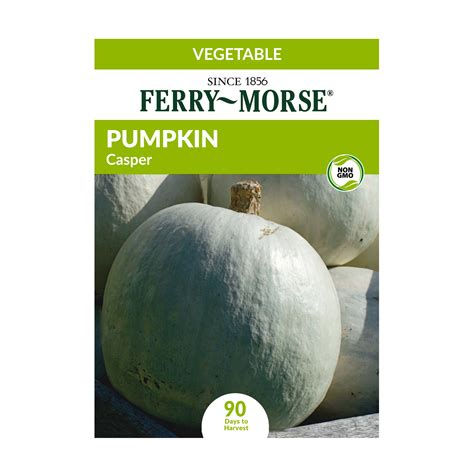 Ferry-Morse Pumpkin Casper Plant Seeds (1 Pack) - Seed Gardening, Full