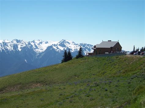 Hurricane Ridge In The Olympic National Park Going This Fall Olympic