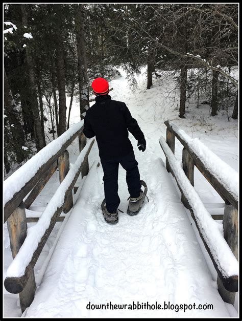 Down The Wrabbit Hole The Travel Bucket List Go Snowshoeing In