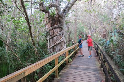 18 Best Boardwalks In Florida With Easy Access For All