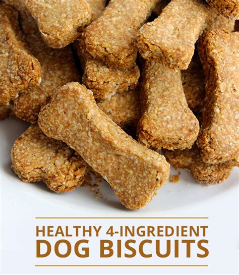 Homemade Veg Dog Treats Recipe Pumpkin Doggy Donut Holes