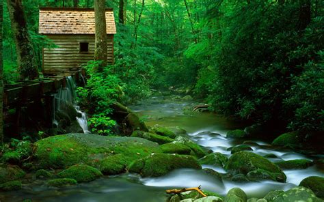 Beauties Of Nature Wooden Water Mountain River With Clear Water Rocks