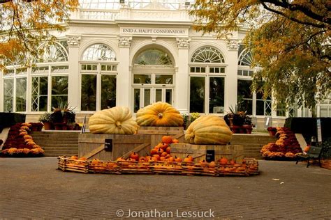 Three Tons Of Pumpkins Ny Botanical Garden Botanical Gardens Pumpkin