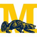 Michigan Football Wolverineswire Vs Msu Spartans Icon
