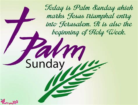 Happy Palm Sunday Rareglo Organic Shea Products