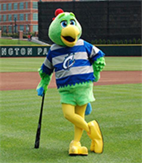 Clippers mascot is a california condor. Mascot Profiles | Columbus Clippers Content