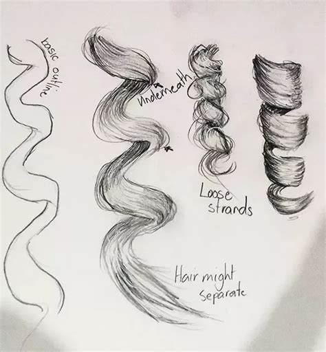 How To Draw Curls How To Draw Hair Curly Hair Drawing How To Draw Curls
