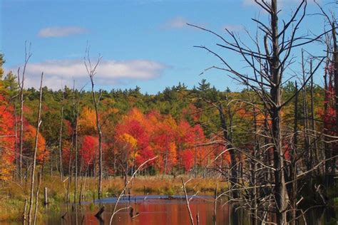 Prettiest Fall Foliage Villages In Massachusetts New England Today