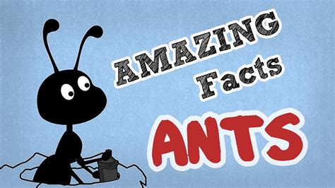 At frontier hq, we are fascinated by all things nature, and so we have put together a list of all of the very best and most interesting and downright funny facts about animals we could find. Amazing Facts About Ants | Cool Ant Facts | OMG Facts ...