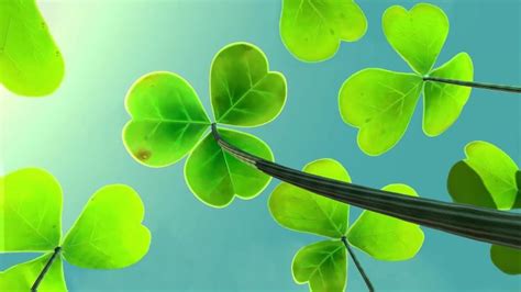 1 Clovers Live Wallpapers Animated Wallpapers Moewalls