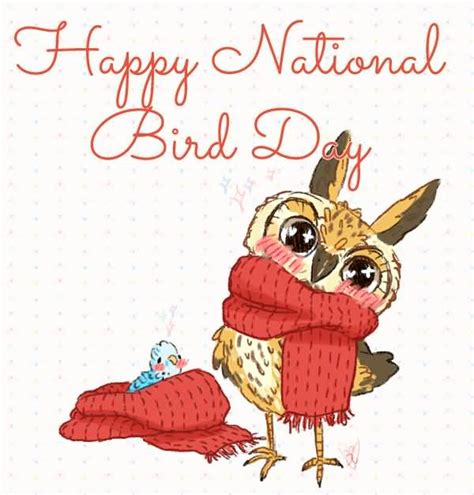 Happy National Bird Day Greeting Card