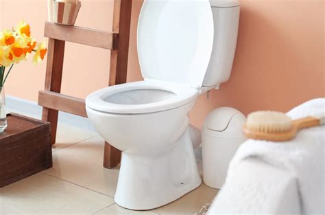 Best Toilet Seat Reviews Uk 2022 Top 10 Comparison