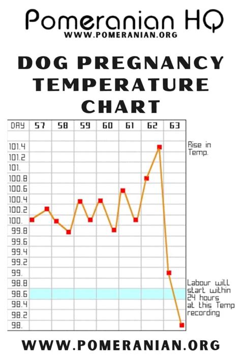 Dog Whelping Temperature Chart Printable
