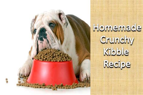 Homemade Crunchy Kibble Recipe Dog Food Recipes Dog Mom Ts Homemade