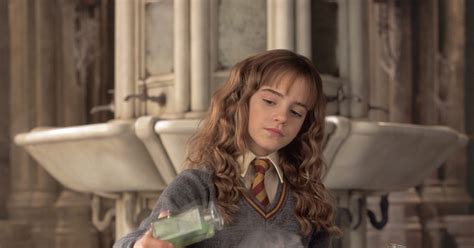 Harry Potter Original Pitch Different Hermione Muggle