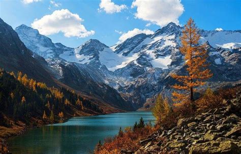 Nature Mountain Lake Snow Fall Altai Mountains Snowy Peak Landscape Forest Russia