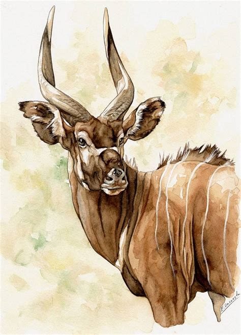 Image Result For Enrique Lacuesta Animal Illustration Art Wildlife