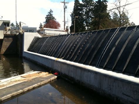Lake Oswego Dam Flood Control Improvements