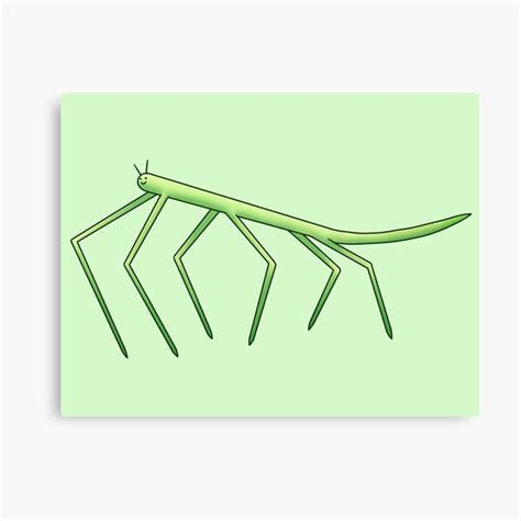 Dancing Stick Bug Meme Canvas Print For Sale By Seaotter9000 Redbubble