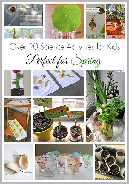20 Science Activities For Kids That Are Perfect For Spring Via Buggy