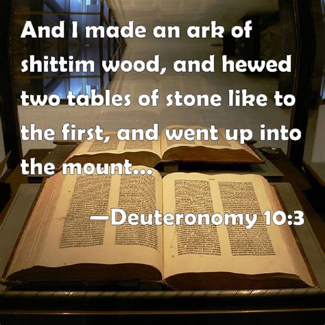Deuteronomy 103 And I Made An Ark Of Shittim Wood And Hewed Two