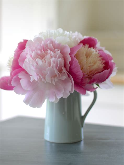 In A Vase On Monday Bowl Of Beauty And Duchess De Nemours Peonies