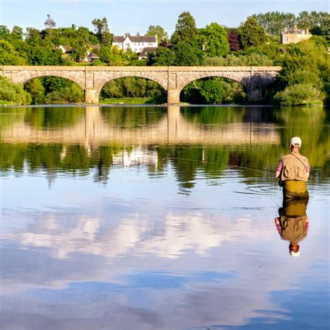 Man Fly Fishing On The River Tweed With The Iconic Kelso Bridge At The