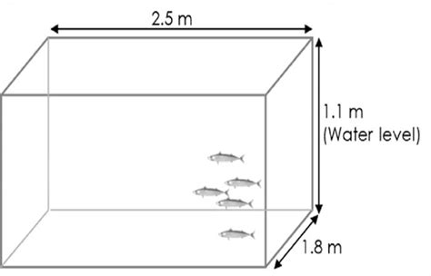 Fish Tank Size Calculationdimensions And Volume Petaddon