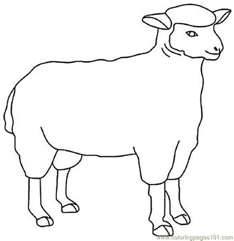 Download the free printable template and make one at home or at school. Sheep Outline Coloring Page - Coloring Home