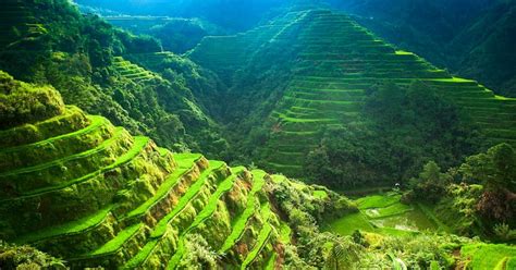 Cordillera Rice Terraces 03 25 2021 Tripzilla Philippines