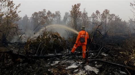 Intensitas Karhutla Naik Bnpb Hektare Terbakar Dalam Sepekan
