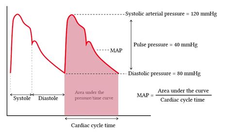 Systolic Diastolic And Mean Arterial Blood Pressure Deranged Physiology