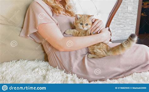 Pregnant Woman Stroking Little Red Ginger Striped Kitten On Bed Cropped View Stock Image