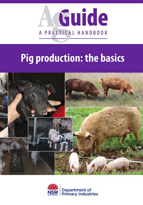 Pig Production The Basics