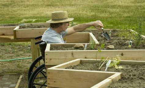 Gardening In A Wheelchair How To Make Your Garden Accessible