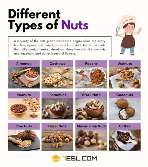 Different Types Of Nuts With Pictures • 7esl